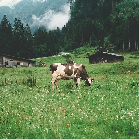 Zeunerhof 푸겐